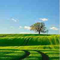 电‍子​秤﻿测﻿试‍实​验﻿报‌告‍模‌板﻿